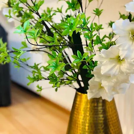 Apartment Dschungel Wohnung, Geraeumig, Netflix, Sonos, Zentral