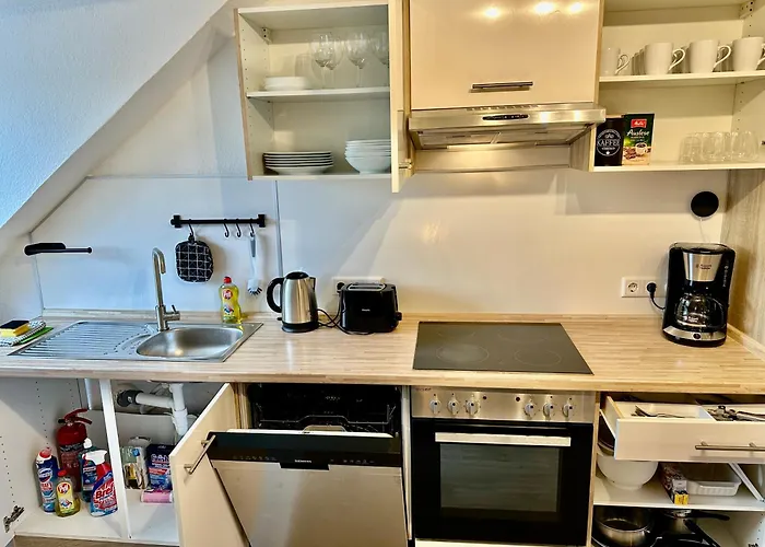 Dschungel Wohnung, Geraeumig, Netflix, Sonos, Zentral דיסבורג